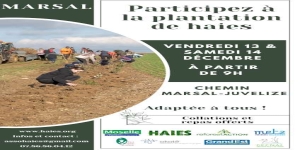 Plantation de haies entre Marsal et Juvelize